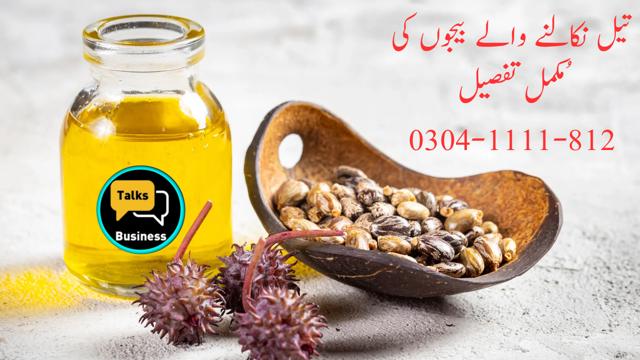 Seeds for oil extraction in Pakistan
